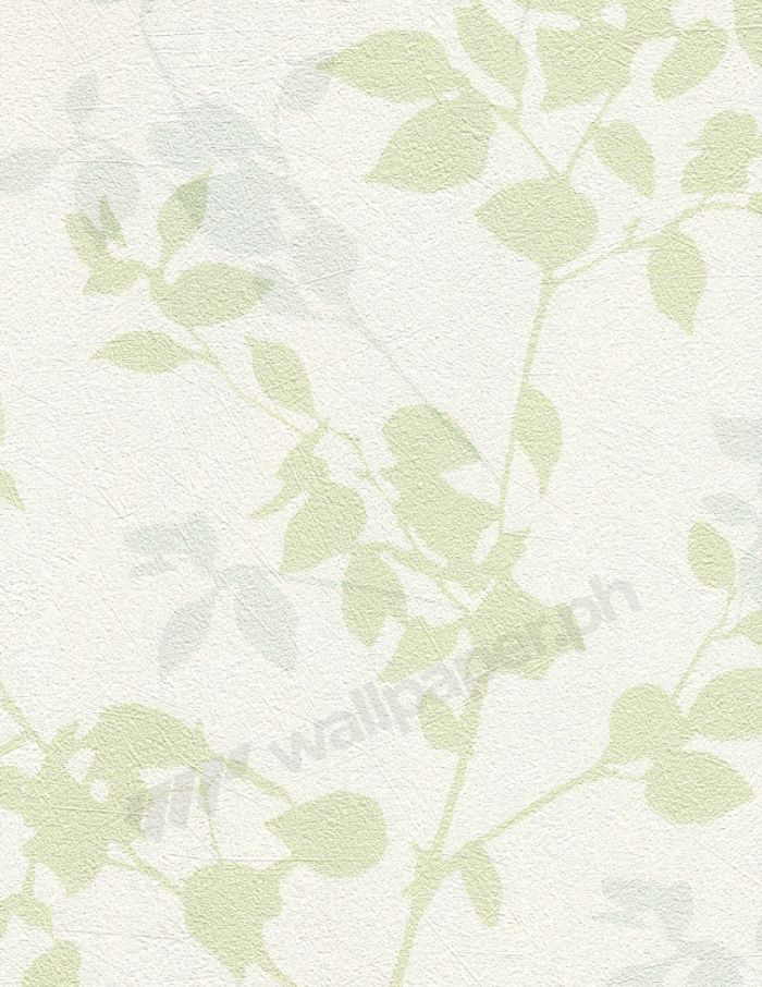 WP#NG3105 - Image 1