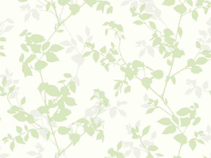 WP#NG3105 - Image 2