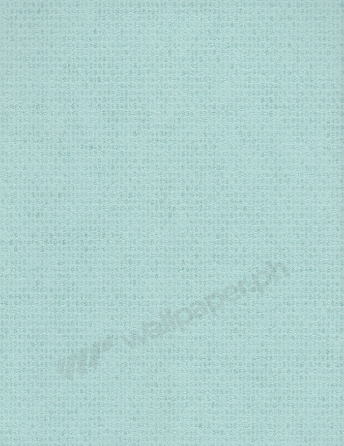 WP#VP1107 - Image 1